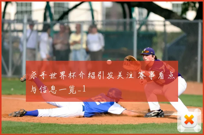 杀手世界杯介绍引发关注 赛事看点与信息一览_1